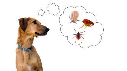 Picture for category Flea and Tick for Dogs