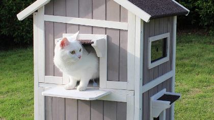 Picture for category Houses for Cats