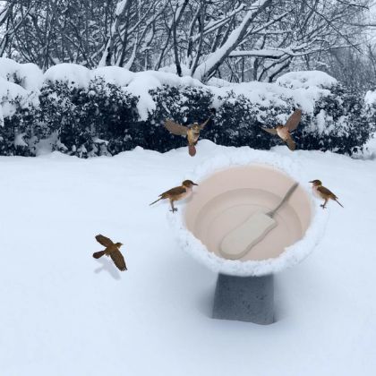 Picture for category Bird Baths