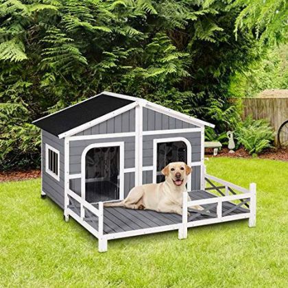 Picture for category Houses for Dogs