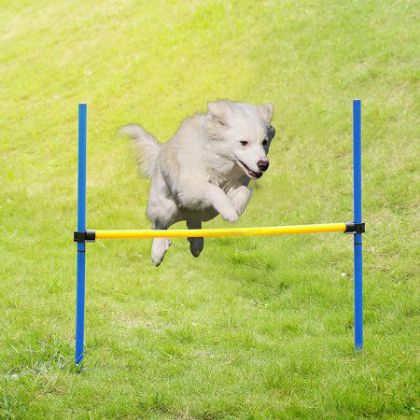 Picture for category Agility Training for Dogs