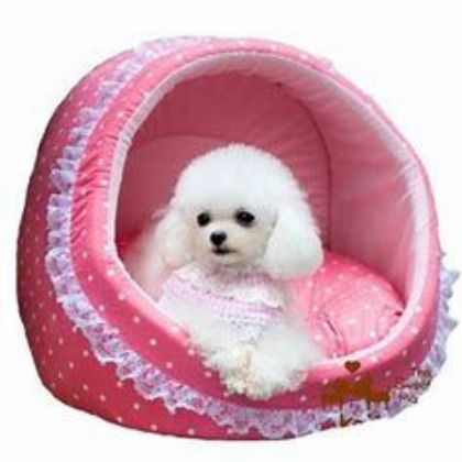 Picture for category Beds for Dogs