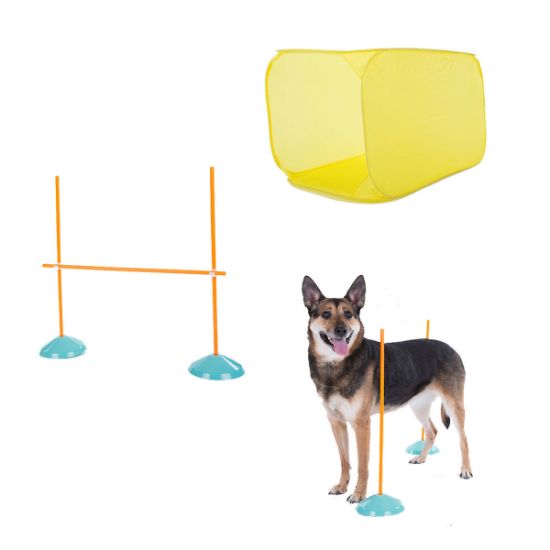 Picture of Outward Hound Dog Agility Starter Kit Indoor