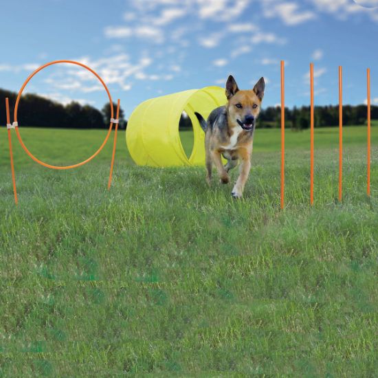 Picture of Outward Hound Dog Agility Starter Kit Outdoor