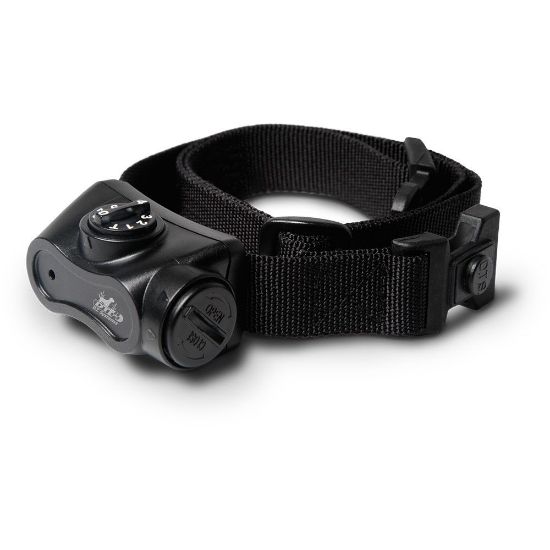 Picture of D.T. Systems Bark BOSS Dog Bark Control Collar Black