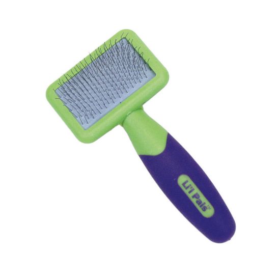 Picture of Coastal Pet Products Lil'l Pals Kitten Slicker Brush with Coated Tips Green / Purple 5" x 2.3" x 1"