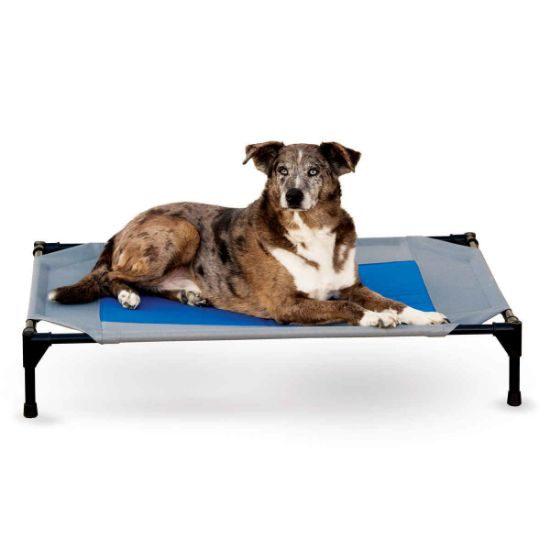 Picture of K&H Pet Products Coolin' Pet Cot Large Gray / Blue 30" x 42" x 7"