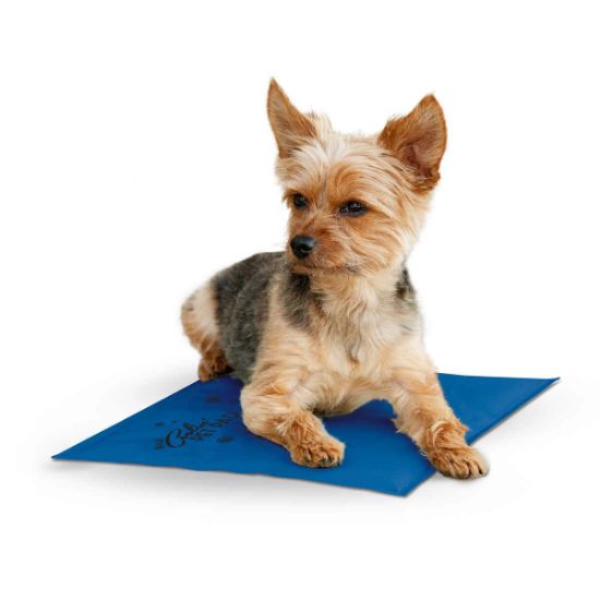 Picture of K&H Pet Products Coolin Pet Pad Small Blue 11" x 15" x 0.75"
