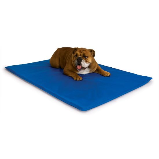Picture of K&H Pet Products Cool Bed III Thermoregulating Pet Bed Medium Blue 22" x 32" x 0.5"
