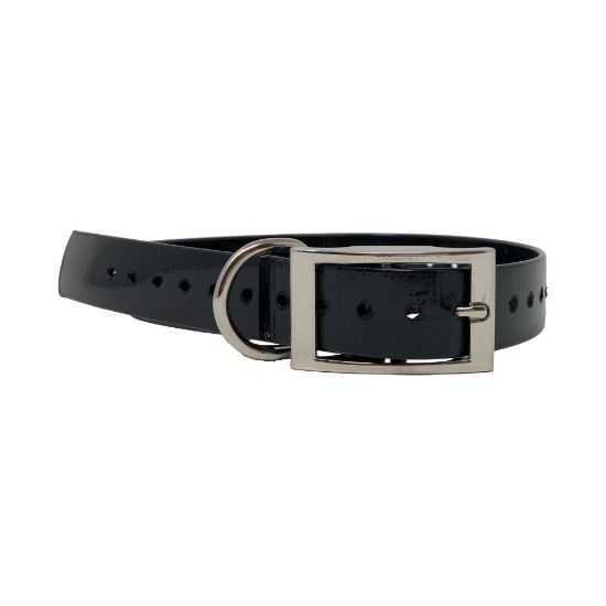 Picture of The Buzzard's Roost Replacement Collar Strap 1" Black 1" x 24"