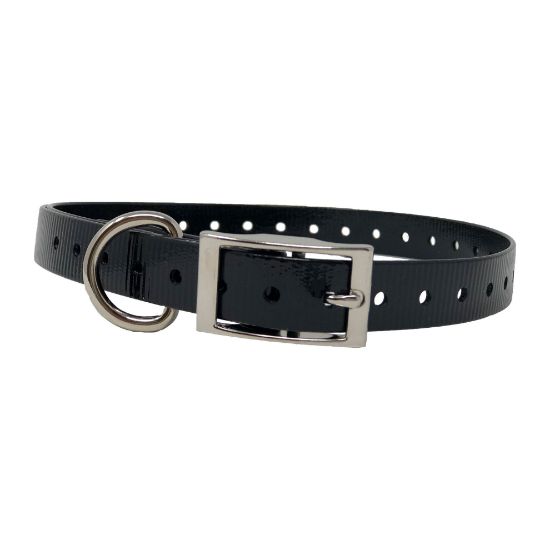 Picture of The Buzzard's Roost Replacement Collar Strap 3/4" Black 3/4" x 24"