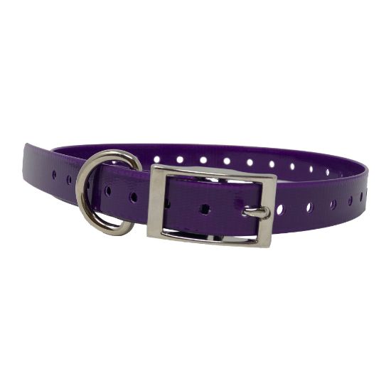 Picture of The Buzzard's Roost Replacement Collar Strap 3/4" Purple 3/4" x 24"