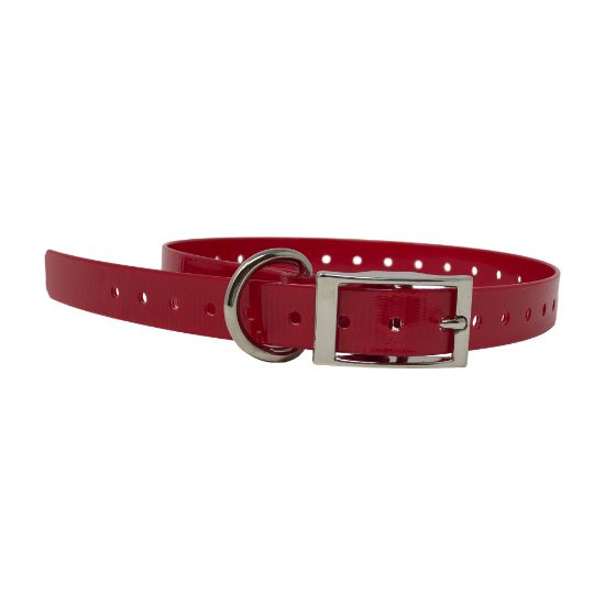 Picture of The Buzzard's Roost Replacement Collar Strap 3/4" Red 3/4" x 24"