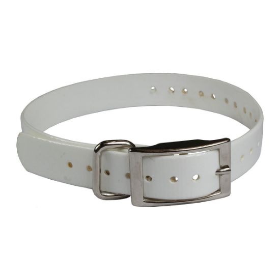 Picture of The Buzzard's Roost Replacement Collar Strap 3/4" White 3/4" x 24"