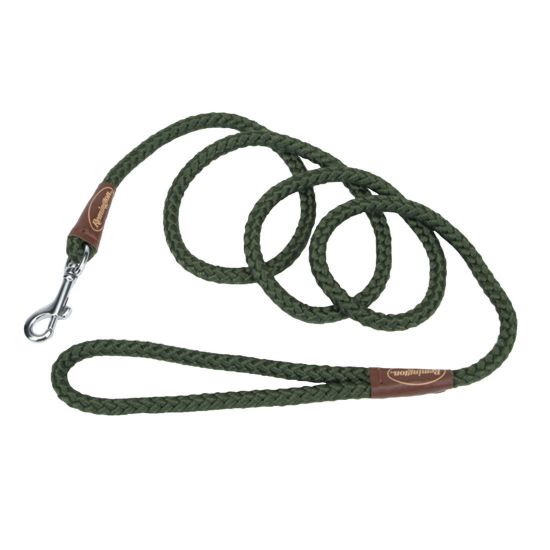 Picture of Remington Braided Rope Dog Snap Leash 6 Feet Green 72" x 1" x 1"