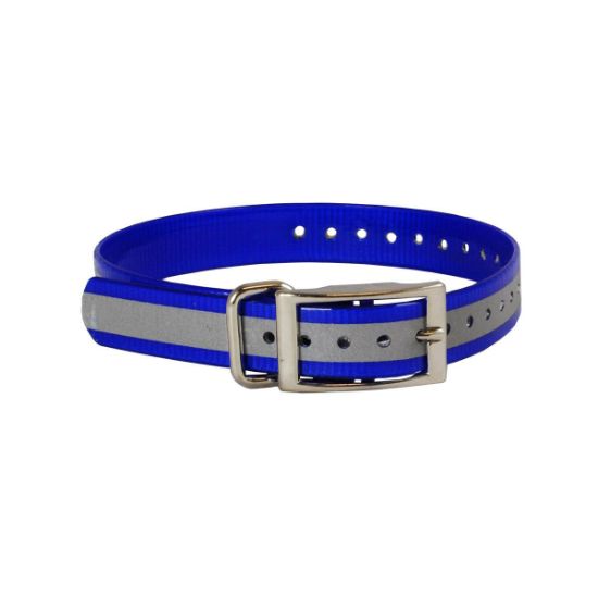 Picture of The Buzzard's Roost Reflective Collar Strap 1" Blue 1" x 24"