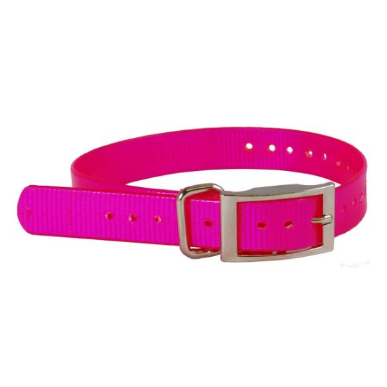 Picture of The Buzzard's Roost Replacement Collar Strap 1" Pink 1" x 24"