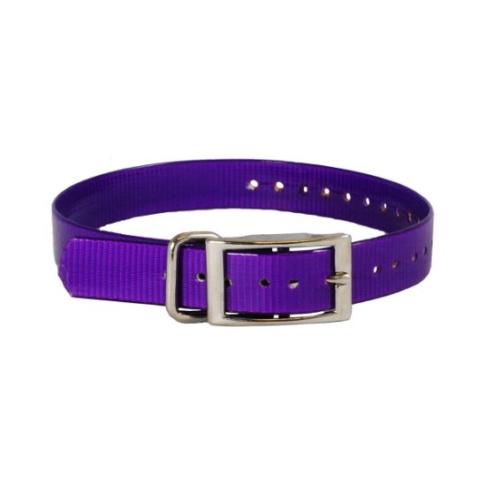 Picture of The Buzzard's Roost Replacement Collar Strap 1" Purple 1" x 24"
