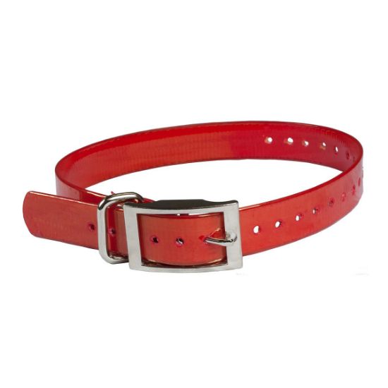 Picture of The Buzzard's Roost Replacement Collar Strap 1" Red 1" x 24"