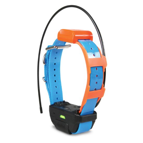 Picture of Dogtra Pathfinder TRX Tracking Only Collar Blue