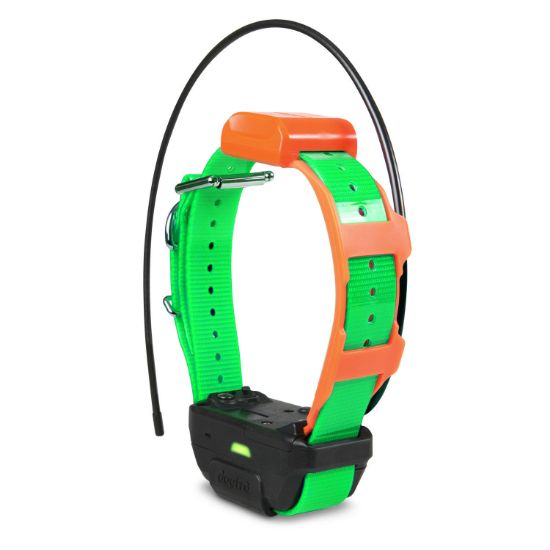 Picture of Dogtra Pathfinder TRX Tracking Only Collar Green