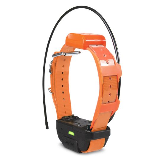 Picture of Dogtra Pathfinder TRX Tracking Only Collar Orange