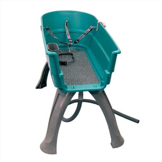 Picture of Booster Bath Elevated Dog Bath and Grooming Center Large Teal 45" x 21.25" x 15"