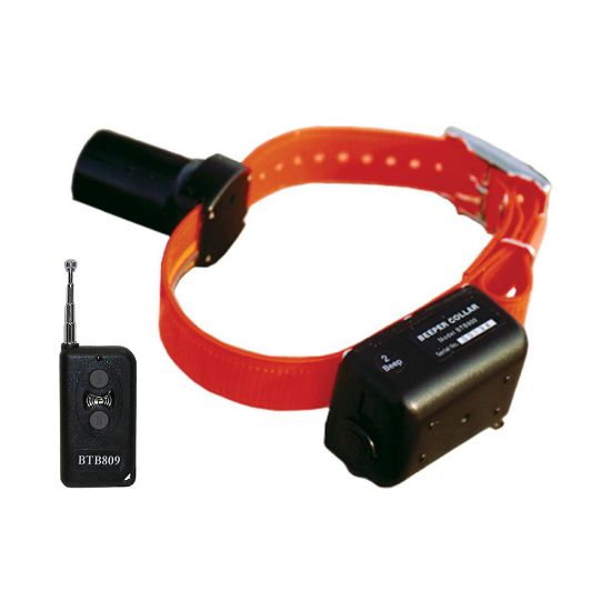 Picture of D.T. Systems Baritone Dog Beeper Collar With Remote Orange
