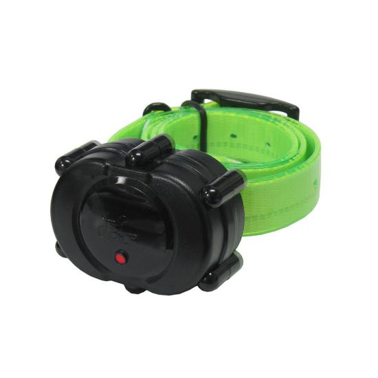 Picture of D.T. Systems Micro-iDT Remote Dog Trainer Add-On Collar Black Green