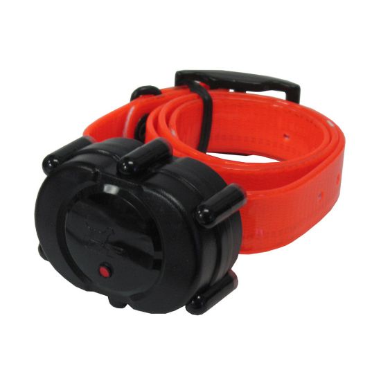 Picture of D.T. Systems Micro-iDT Remote Dog Trainer Add-On Collar Black Orange