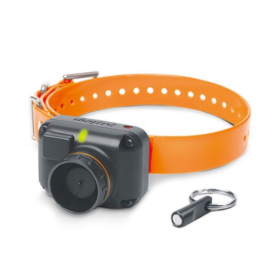 Picture of Dogtra STB Beeper Collar Beeper Version
