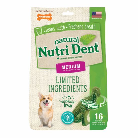 Picture of Nylabone Nutri Dent Limited Ingredient Dental Chews Fresh Breath T-Rex Medium 16 count
