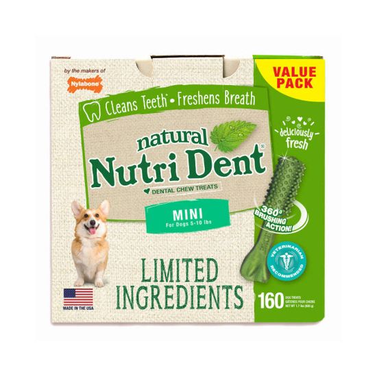Picture of Nylabone Nutri Dent Limited Ingredient Dental Chews Fresh Breath Mini 160 count