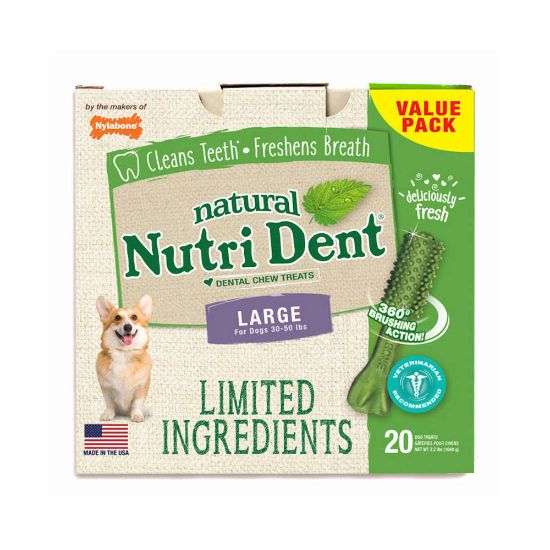 Picture of Nylabone Nutri Dent Limited Ingredient Dental Chews Fresh Breath Large 20 count