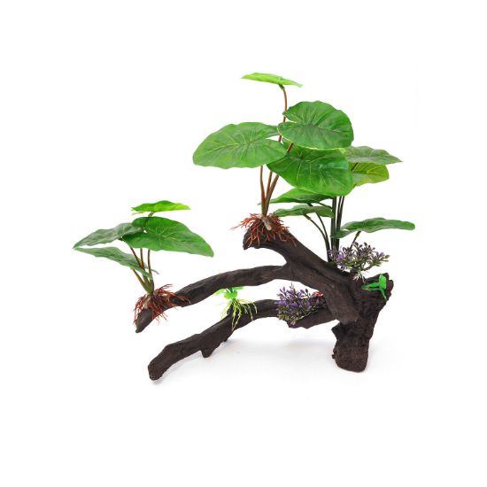 Picture of BioBubble Decorative Ficus Large Green 14" x 4.5" x 15"