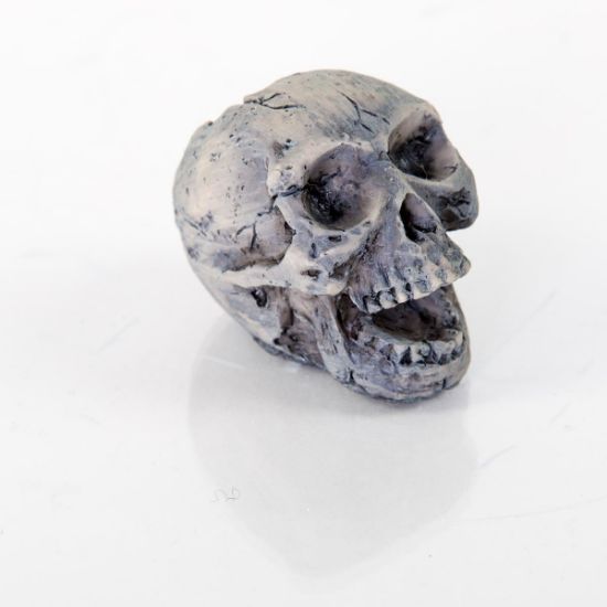 Picture of BioBubble Decorative Human Skull Small 2" x 1" x 2"