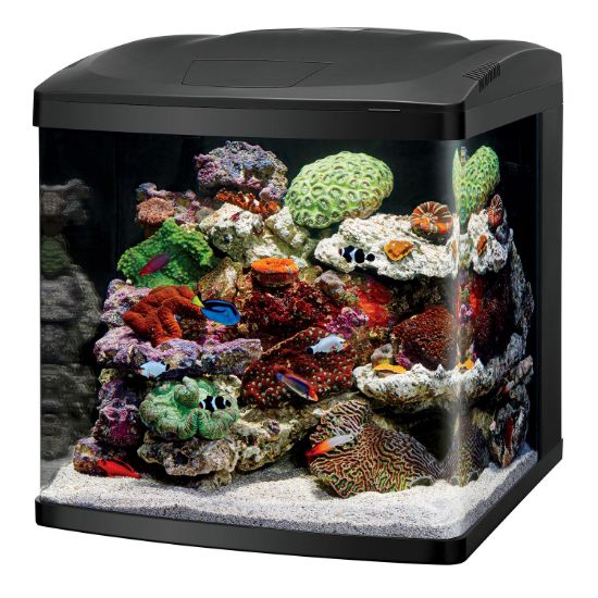 Picture of Coralife LED BioCube 32 Aquarium Kit 20.25" x 21.875" x 21.5"