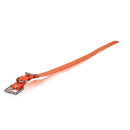 Picture of Dogtra Extra Dog Collar Strap Orange 1" x 24"