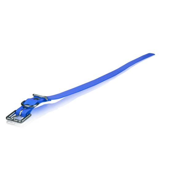 Picture of Dogtra Extra Dog Collar Strap Blue 1" x 24"