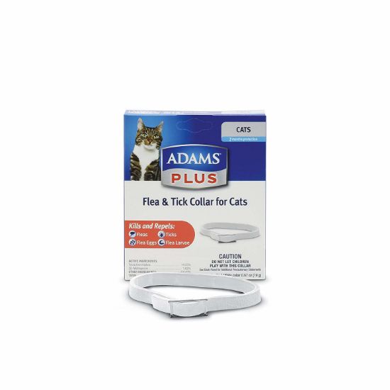 Picture of Flea and Tick Collar for Cats and Kittens (Breakaway Collar)