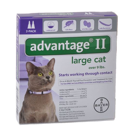 Picture of Flea Control for Cats and Kittens Over 9 lbs 2 Month Supply