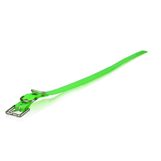Picture of Dogtra Extra Dog Collar Strap Green 1" x 24"