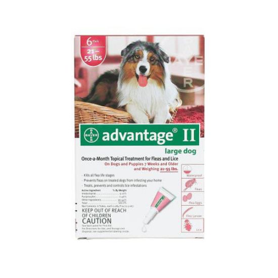 Picture of Advantage Flea Control for Dogs and Puppies 21-55 lbs 6 Month Supply