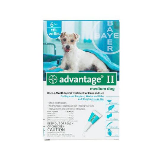 Picture of Advantage Flea Control for Dogs And Puppies 11-20 lbs 6 Month Supply